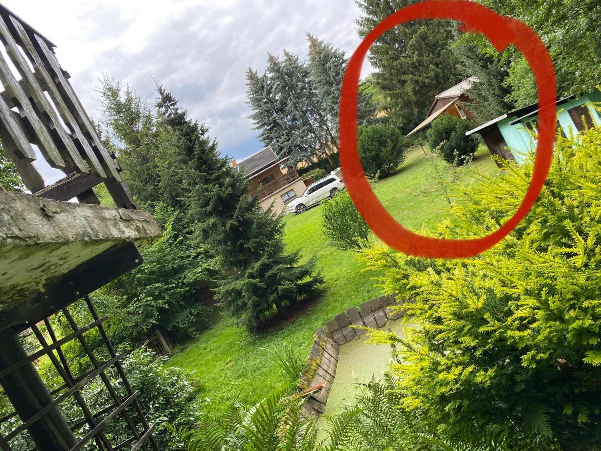 Waldfrieden Bungalow Garnsdorf Экстерьер фото
