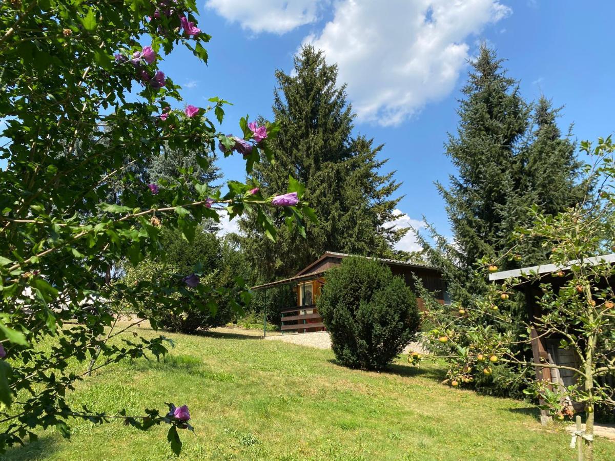 Waldfrieden Bungalow Garnsdorf Экстерьер фото